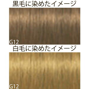 VcRt CS C sNT-F uEƐFnVF[h G S[h 1 80g [ wAJ[ AJJ[  ] Schwarzkopf