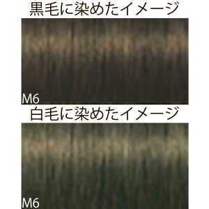 VcRt CS C sNT-F uEƐFnVF[h M }bg 1 80g [ wAJ[ AJJ[  ] Schwarzkopf