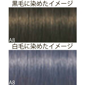 VcRt CS C sNT-F uEƐFnVF[h A AbV 1 80g [ wAJ[ AJJ[  ] Schwarzkopf