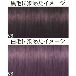 VcRt CS C sNT-F uEƐFnVF[h V oCIbg 1 80g [ wAJ[ AJJ[  ] Schwarzkopf