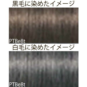 VcRt CS C sNT-F eBgVF[hiAJj 1 80g [ wAJ[ AJJ[  ] Schwarzkopf