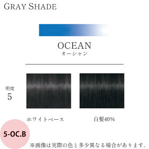 VcRt e byGbZVeB OCVF[h 1 I[VuE OC.B 85g [ wAJ[ J[ TƖp AJJ[  э et vp ] Schwarzkop