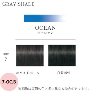 VcRt e byGbZVeB OCVF[h 1 I[VuE OC.B 85g [ wAJ[ J[ TƖp AJJ[  э et vp ] Schwarzkop