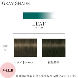 VcRt e byGbZVeB OCVF[h 1 [tuE LE.B 85g [ wAJ[ J[ TƖp AJJ[  э et vp ] Schwarzkopf