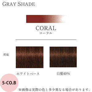 �V�������c�R�t �e�� by�G�b�Z���V�e�B �O���C�V�F�[�h ��1�� �R�[�����u���E�� CO.B 85g [ �w�A�J���[ �J���[�� �T�����Ɩ��p �A���J�����J���[ ���������� ���э� ���e�t �v���p ] Schwarzkopf