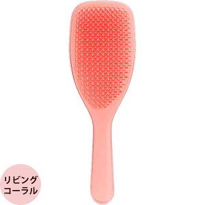 [ wAuV Gꔯp ] ^OeB[U[ UEEFbgfB^O[Pro S3F g[gg uV PA ubVO  e et Tdl TANGLE TEEZER