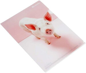 GgWF fB RX^J y2_܂Ƃ߁zNAz_[ A4 Bestiola 1×2Zbg