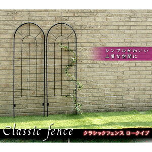 K[ftFX ACA ubN  DIY  d؂  Ԓd 150 ߍݎ NVbNtFX 4g