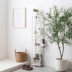 bN I X`[ 25 Vv  X`[bN ACA I[v bN gC[ gCbN h[bN X 126 ʏ [