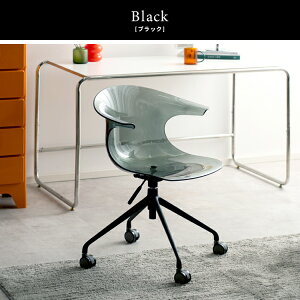 y11/22`25P5{z ItBX`FA[  fXN`FA RpNg LX^[ p\R`FA ֎q IȂ ݑ `FA fUC`FA 360x] |J[{l[g ֎q