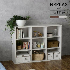 y15I777~N[|zzz I[vbN  ؐ 3i 120 s30cm NEFLAS ltX I[vVFt {I fBXvCbN I bN Vv  NF80-120OP yz