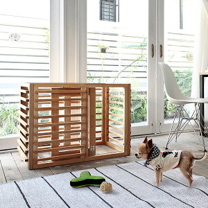 y11/22`25P5{z Q[W p  񂿂Q[W B Q[W ybgpQ[W   VR MTCY uE i` zCg