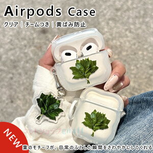 Airpods pro3 Airpods 4 3 2 1 Airpods pro2 pro P[X Jo[ `[ ϏՌ h ho t Airpods pro3 یP[X h~ ϋv GA[|bYv 3 یJo[ 3 PC h~ Airpods 4 ΉیJ