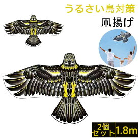 2個リアル鳥追いカイト鷹 バードカイト 鳥追い 凧揚げ カイト鷹 鳥よけ 【うるさい鳥対策】 かかし防鳥 組み立て 鳥駆除 鳥を怖がらせ 鳥撃退 鳥よけカイト 農作物保護 1.8m