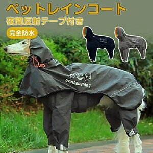 p CR[g |` ₷ wJ tJo[ J }WbNe[v t[ht EȒP 񃌃CR[g   CR[g Sh h h ʋC EȒP ~J