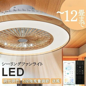 y2025ŐV^zV[Ot@Cg F V[OCg T[L[^[ t@tƖ ؖڒ DC[^[ V[Ot@ ʒ É 10  y ^ LED @ 