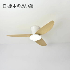 V[Ot@Cg F led ^ k V[Ot@ 莞@\ dsv rO dc[^[ Cz 10 12 @t a dC Ɩ