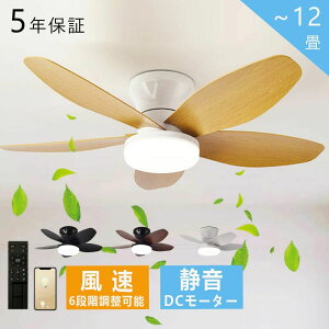 V[Ot@Cg DC[^[  LED V[Ot@ Cgt Ɩ t@t V[OCg t@tƖ ؖډH 810 12 u F Cz ʒ 