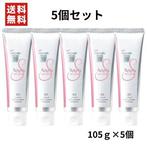 y5ZbgzApK[h Zi 105g XeCPA^Cv WX~~gy򕔊Oizyp݂/z