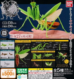 楽天市場 カマキリ 英語の通販