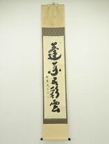 楽天市場】小林太玄の通販
