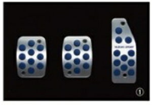 XYL suzuki  XCtg nCubh ZC53S ZD53S 29N1` A~y_Zbg MTԗp