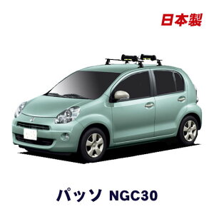 g^ pb\ NGC30 22N2`28N3 Ԏʐp炱ꂾŊ XL[LA Zbg XL[3ύډ\