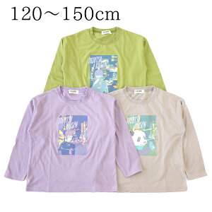 p  TVc t H q j̎q ̎q  LN^[ ObY V Aj 