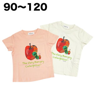 y120cm̂݁z ͂؂ނ  TVc 100% t  q  ̎q j̎q LN^[ ObY xr[ LbY G{ 90 100 110 120cmy3_܂Ń[։\z