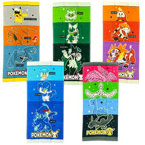 |PbgX^[ |P XJ[bg oCIbg ZpY LN^[ tFCX^I 34×75cm LN^[ ObYy2_܂Ń[։z