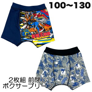 最強王図鑑 きゃらふるインナー 2枚組 ボクサー ブリーフ パンツ 子供 キッズ 男の子 100 110 120 130 キャラクター【2点までメール便可】