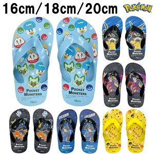 �y16cm�̂݁z�L�����N�^�[ �r�[�`�T���_�� �|�P�b�g�����X�^�[ �|�P���� �q���p 16cm 18cm 20cm �ۈ牀 �c�t�� ���A�w�� ��w�N �� �C �v�[�� ���W���[