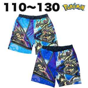 �|�P�b�g�����X�^�[ �|�P���� �u���b�N���b�N�E�U ���� �T�[�t�p���c �C���p���c �q�� ���ǂ� �L�b�Y �j�̎q 110 120 130 �L�����N�^�[