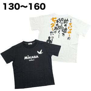 MIKASA ~JT nCL[  TVc o[{[ 100% t  q  j̎q WjA LbY Aj LN^[ ObY 130 140 150 160