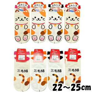 \bNX ݂˂ OєL LO9189 Xj[J[ \bNX C  Ԃ fB[X 22`25cm { LOIWiy9_܂Ń[։\z