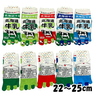 y݌Ɍz ܖ{w \bNX kC G647 Xj[J[ \bNX C  Ԃ fB[X 22`25cm LOIWiy9_܂Ń[։\z