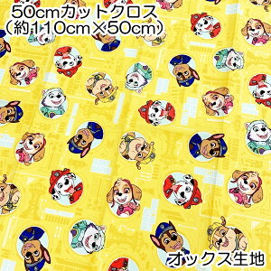 pEEpg[ t[ IbNXn 50cmJbgNX 110×50cm 100 { vg w LN^[ y4_܂Ń[։z