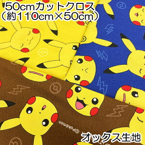 |PbgX^[ |P sJ`E IbNXn 50cmJbgNX 110×50cm 100 { LN^[ vg wy4_܂Ń[։z