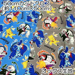 |PbgX^[ |P Oƕ IbNXn 50cmJbgNX 110×50cm 100 { LN^[ vg wy4_܂Ń[։z