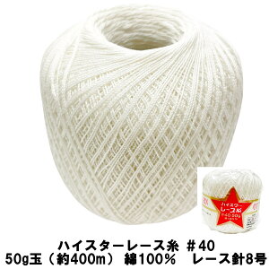 y݌ɌznCX^[ [X 40 50g 400m [Xj8 zCg  V 