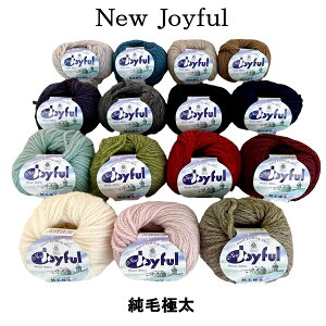 ю  E[ jbPWCt ɑ jbPrN^[`Ch 100 40gi47mj