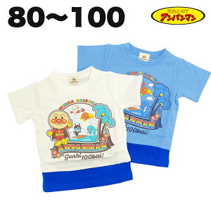 Ap} l  TVc 100% t  xr[ LbY V q  j̎q Aj LN^[ ObY 80 90 95 100 y3_[։z