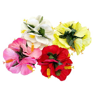 nCrXJX wA Nbv Maunaloa }EiA t_X  bh sN CG[ zCg  } Cxg wA ANZT[  nCA