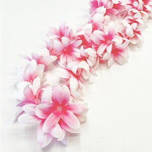  C  at Maunaloa }EiA t_X  Cxg ANZT[  nCA sN