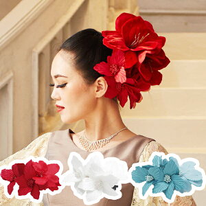 X^CO VFJ[ wANbv Maunaloa }EiA t_X  bh zCg eB[  wA ANZT[  nCA