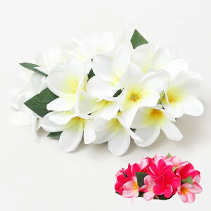 vA wA Nbv Maunaloa }EiA t_X  sN zCg  wA ANZT[  nCA