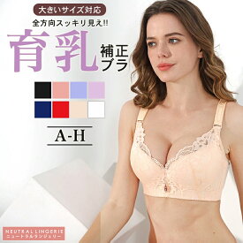 【選べる3点購入で半額1,640円】【到着後レビューを書いて半額クーポン】リフトアップホールドブラジャー ブラジャー 大きいサイズ 美乳 スマートブラ バストアップ 脇高 脇肉 ブラ 育乳 脇肉 補正下着 バストケア セクシー リラックスブラ レディース 送料無料