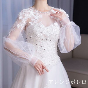 EGfBO{ ItzCg EFfBO{ EFfBOhXAW `[ uC_  񎟉 I ԉ  ptX[u