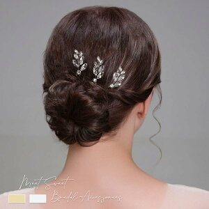 wbhhX Us Zbg wAANZT[ l 񎟉 \  ԉ OB a   p[eB[ EFfBO uC_ Vo[ S[h