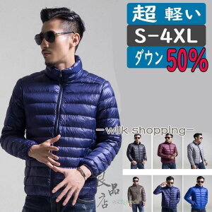 _E Y fB[X y Cg_E  rWlX 傫TCY  אg  lCr[  h  g 40